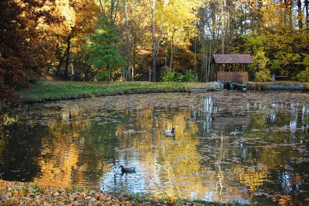 Penzion Farma Dvorec Radnice Buitenkant foto